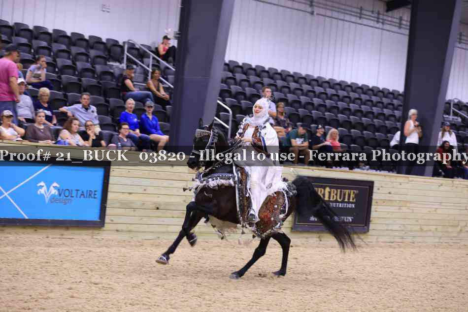 Proof Number 21_BUCK_03820