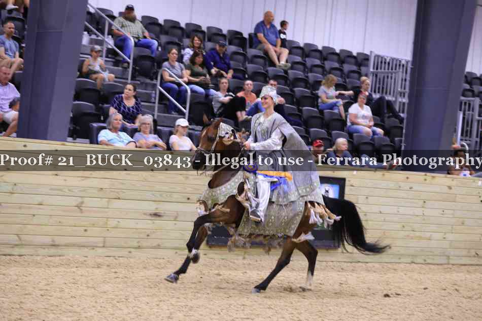 Proof Number 21_BUCK_03843