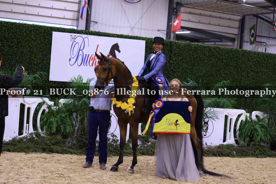 Proof Number 21_BUCK_03876