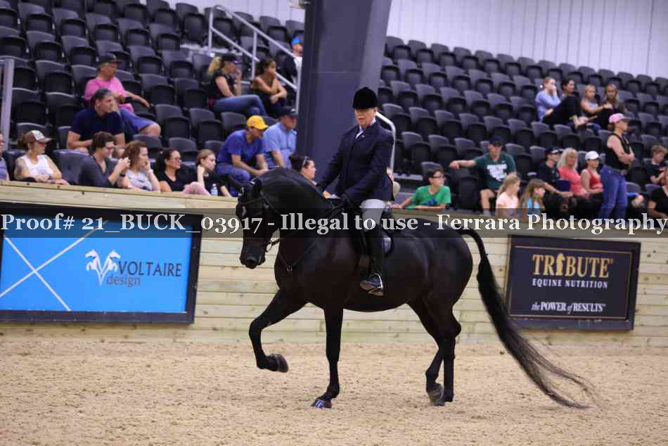Proof Number 21_BUCK_03917