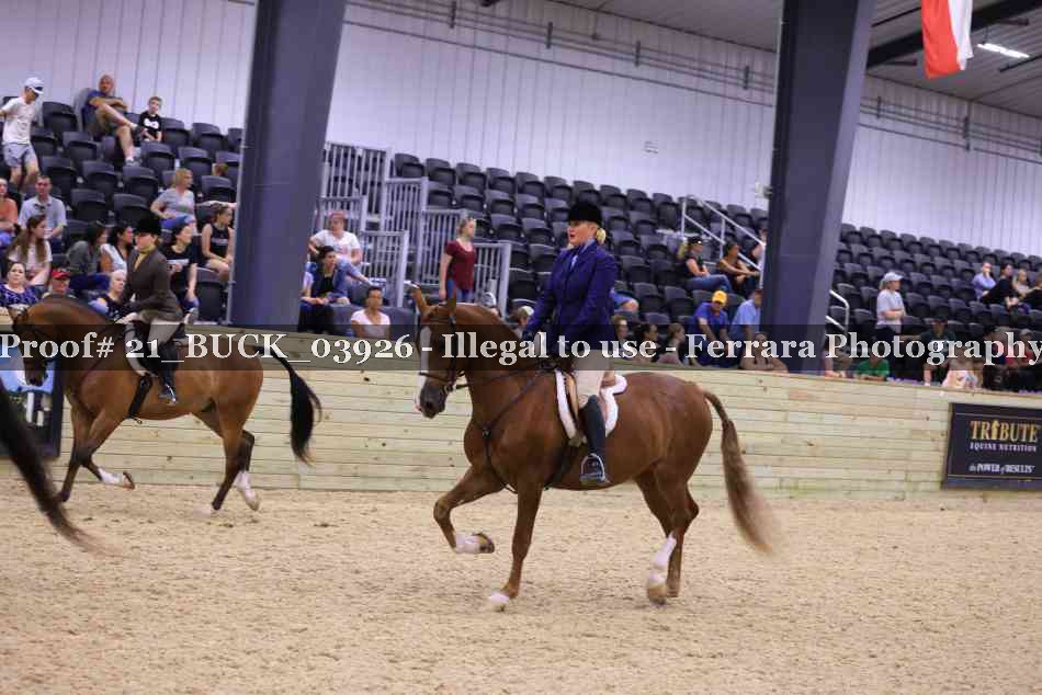 Proof Number 21_BUCK_03926