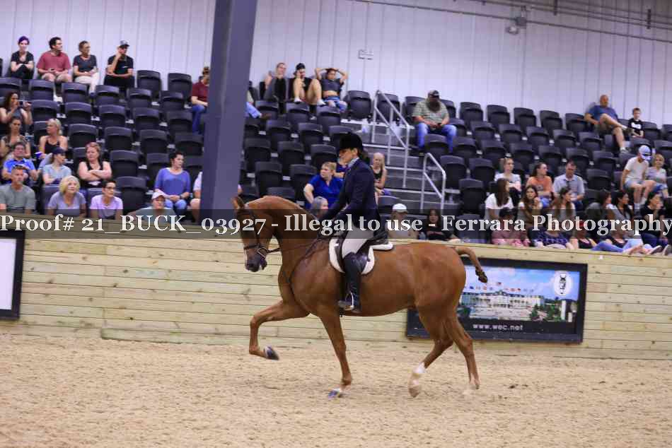 Proof Number 21_BUCK_03927