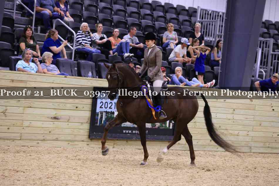 Proof Number 21_BUCK_03957
