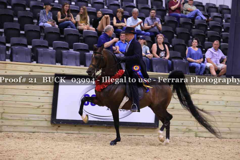 Proof Number 21_BUCK_03994