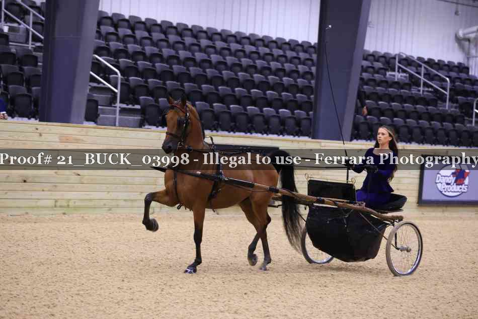 Proof Number 21_BUCK_03998