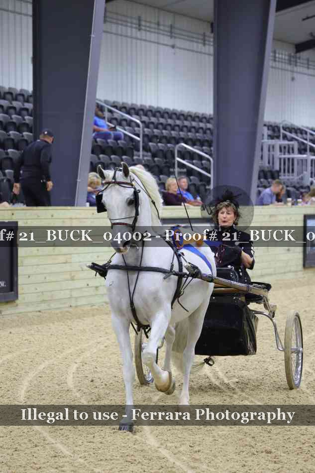 Proof Number 21_BUCK_04002