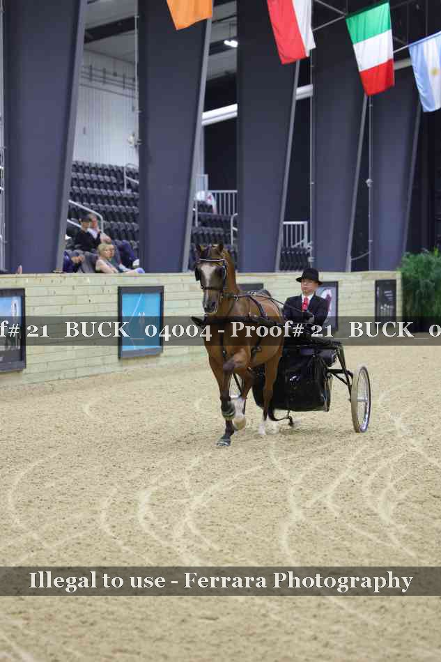 Proof Number 21_BUCK_04004