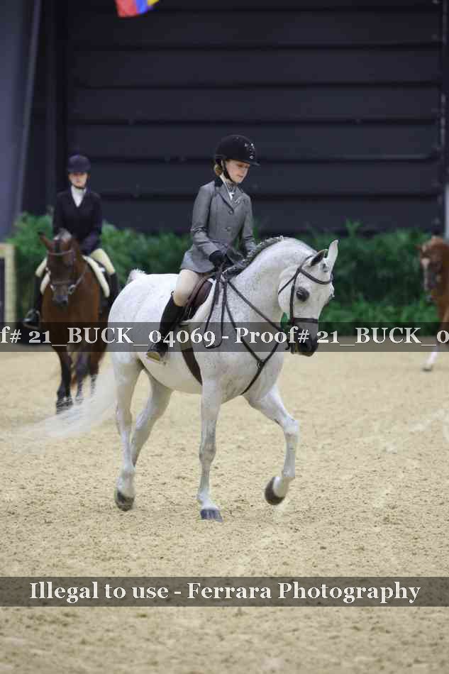 Proof Number 21_BUCK_04069