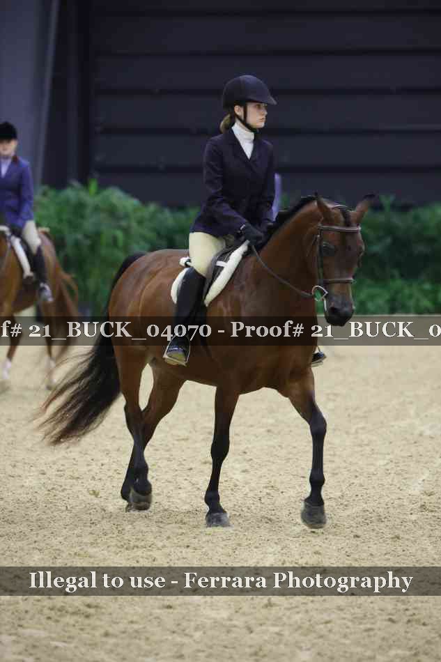Proof Number 21_BUCK_04070