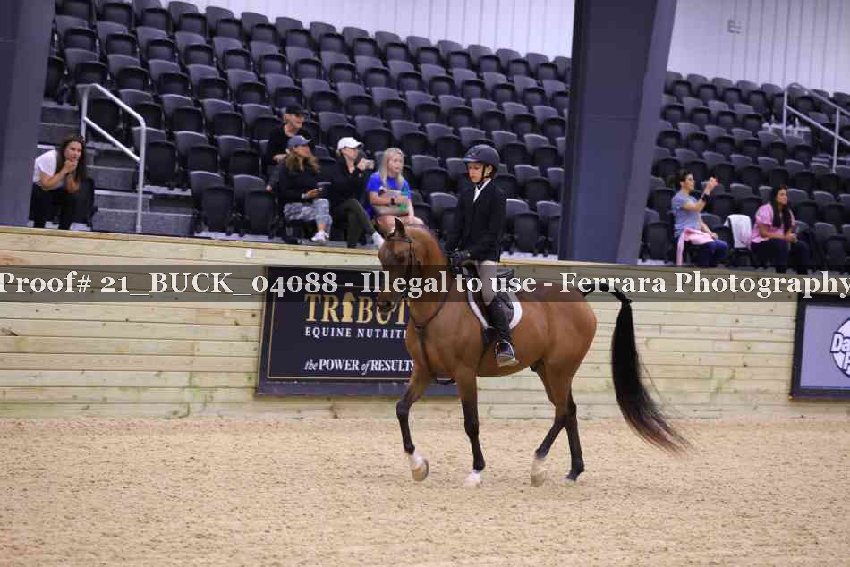 Proof Number 21_BUCK_04088