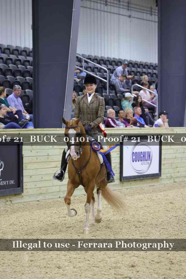 Proof Number 21_BUCK_04101