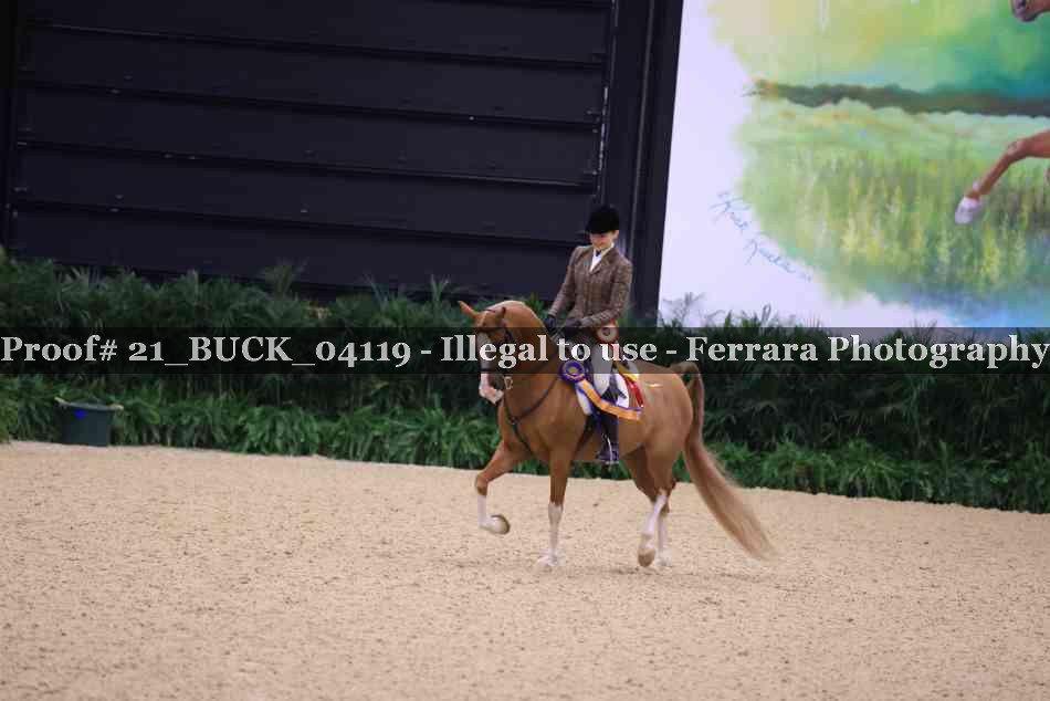 Proof Number 21_BUCK_04119