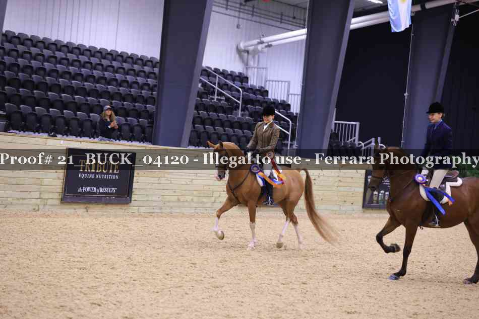 Proof Number 21_BUCK_04120