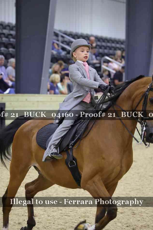 Proof Number 21_BUCK_04160