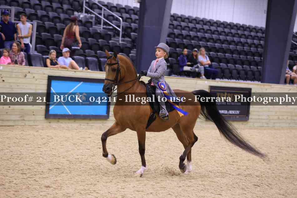 Proof Number 21_BUCK_04211