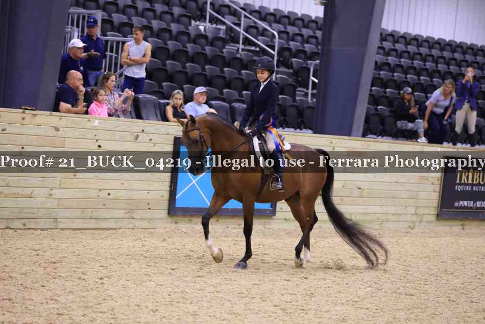 Proof Number 21_BUCK_04219