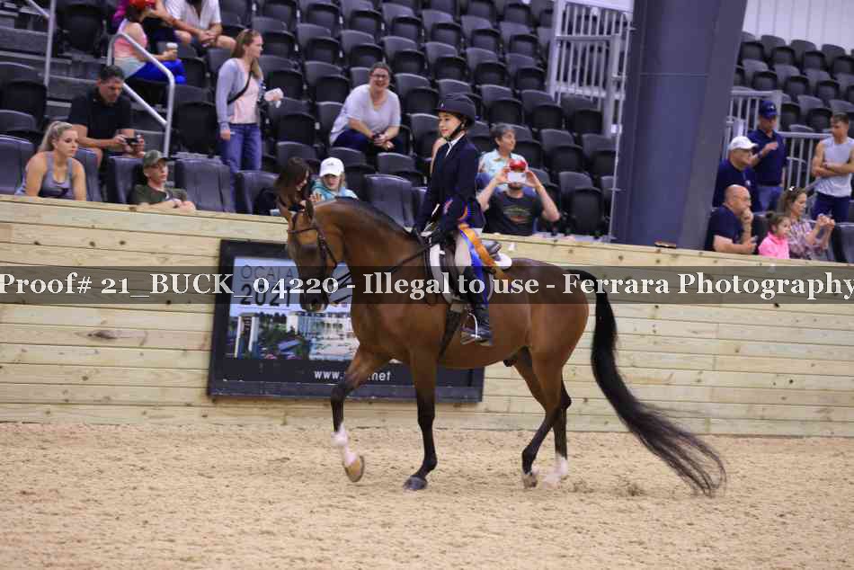 Proof Number 21_BUCK_04220