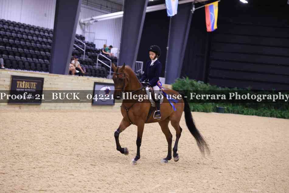 Proof Number 21_BUCK_04221
