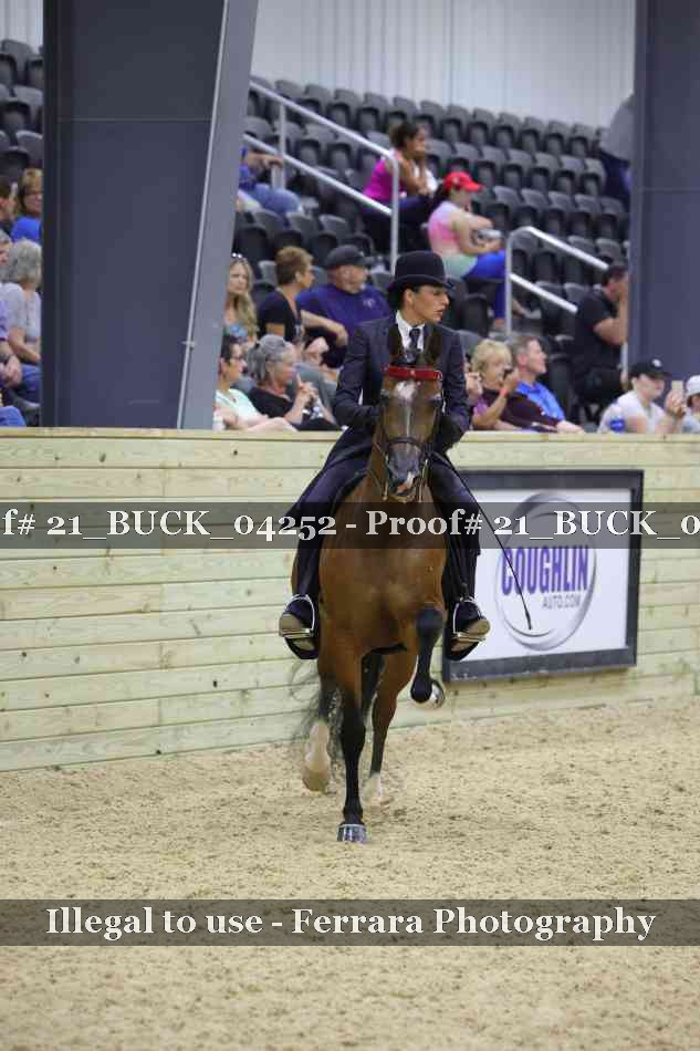 Proof Number 21_BUCK_04252