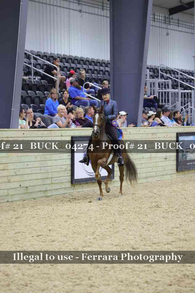 Proof Number 21_BUCK_04274