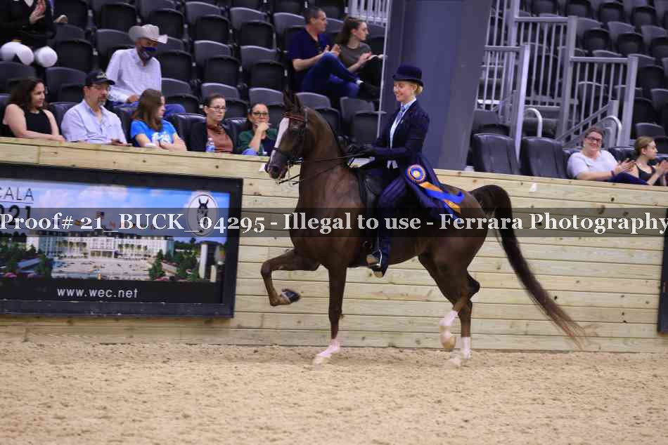 Proof Number 21_BUCK_04295