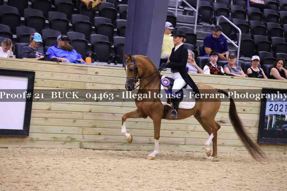 Proof Number 21_BUCK_04463