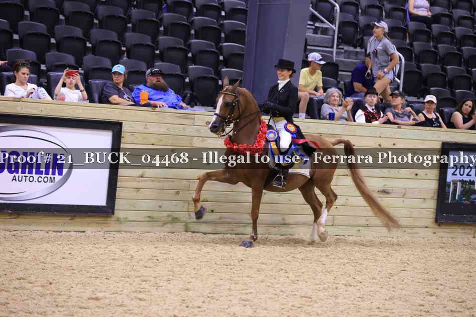 Proof Number 21_BUCK_04468