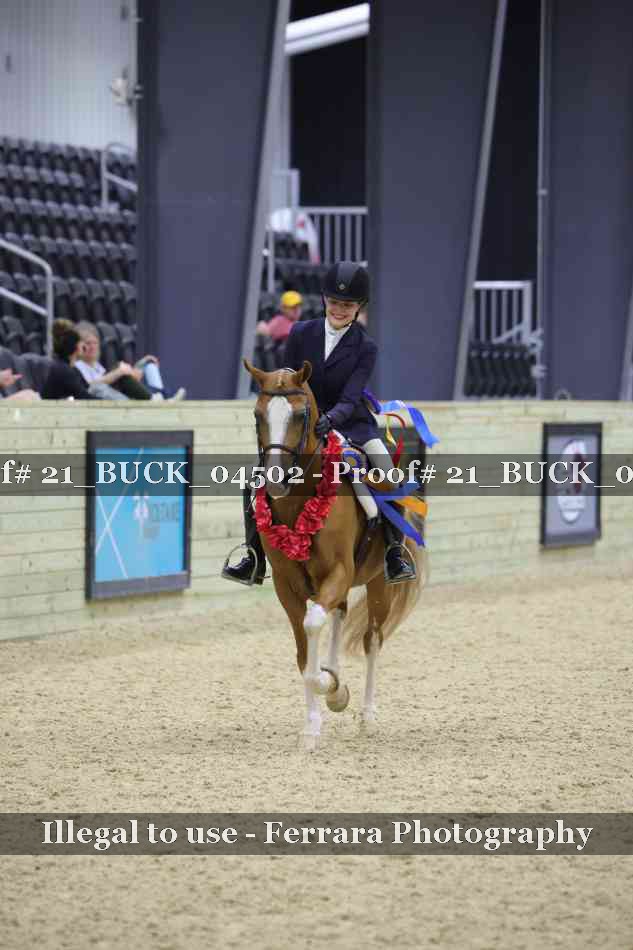 Proof Number 21_BUCK_04502