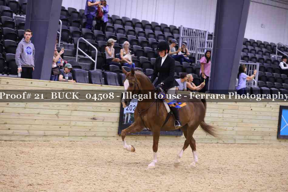 Proof Number 21_BUCK_04508