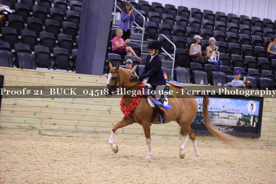 Proof Number 21_BUCK_04518