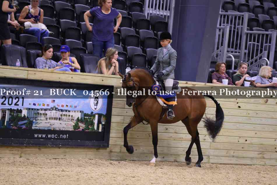 Proof Number 21_BUCK_04566