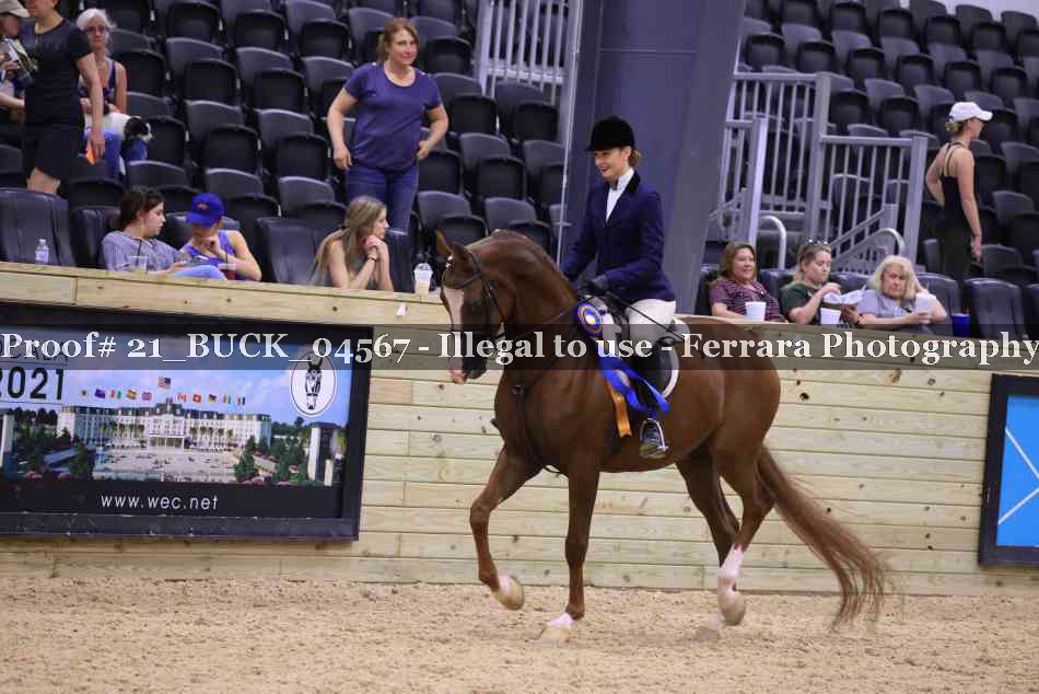 Proof Number 21_BUCK_04567