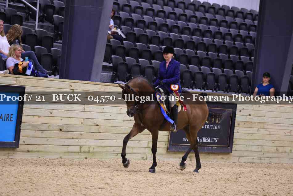 Proof Number 21_BUCK_04570