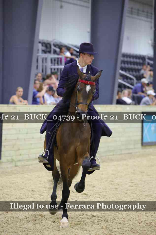 Proof Number 21_BUCK_04739