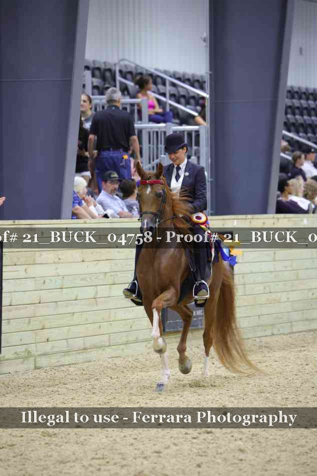 Proof Number 21_BUCK_04758