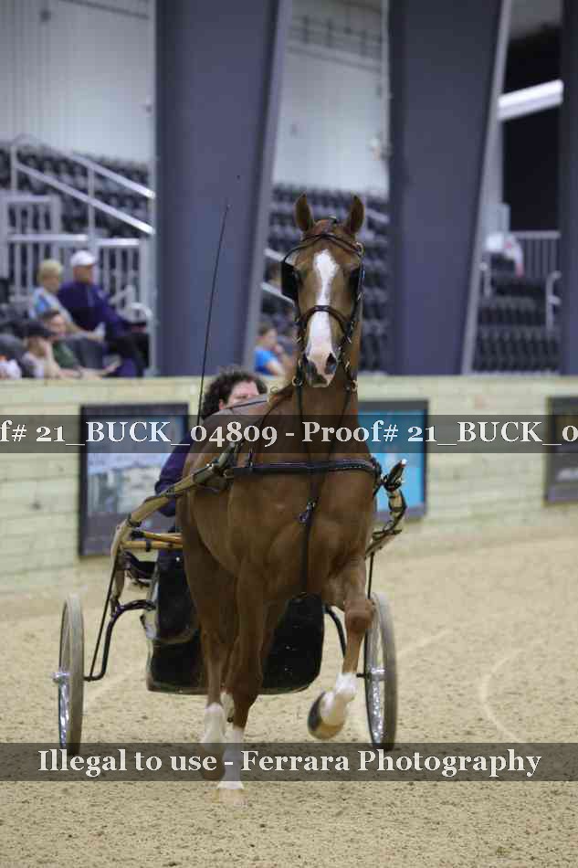 Proof Number 21_BUCK_04809
