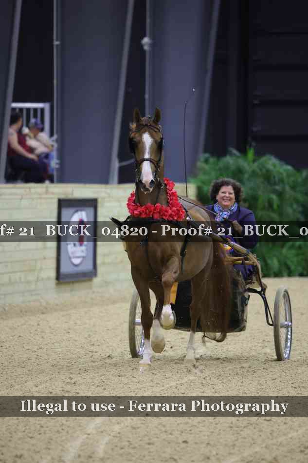Proof Number 21_BUCK_04820