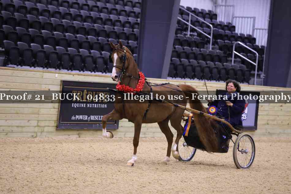 Proof Number 21_BUCK_04833
