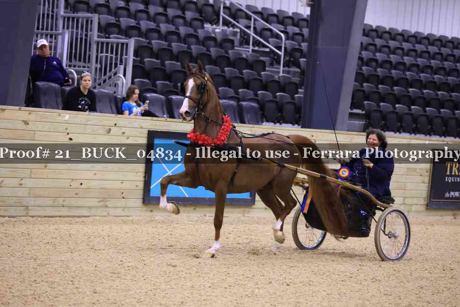 Proof Number 21_BUCK_04834