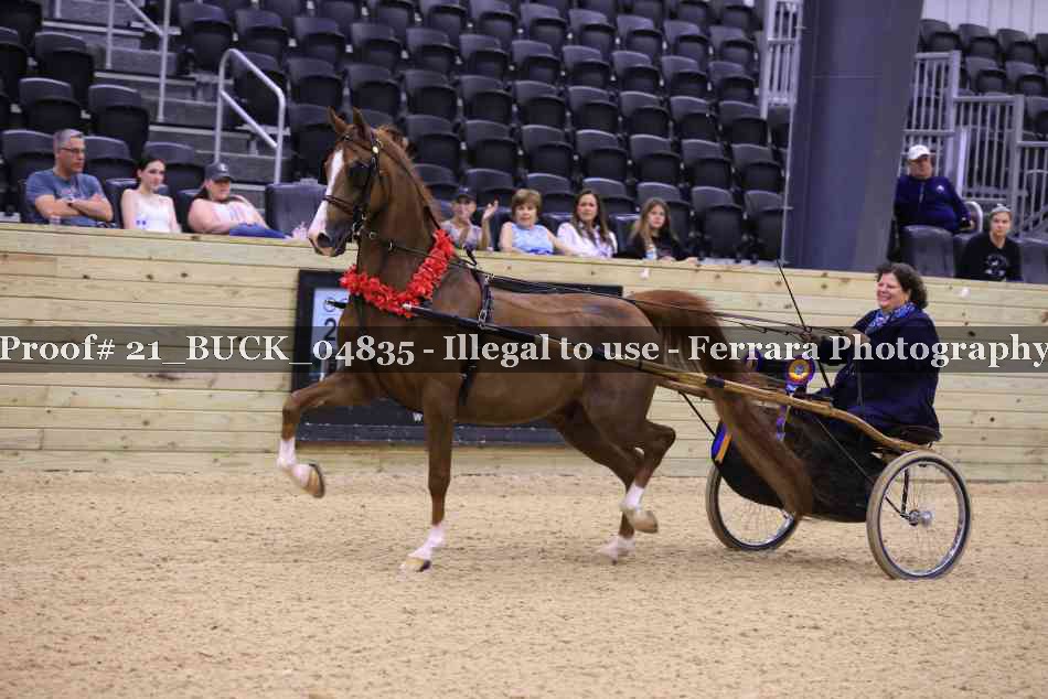Proof Number 21_BUCK_04835
