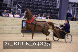 21_BUCK_04835 thumbnail