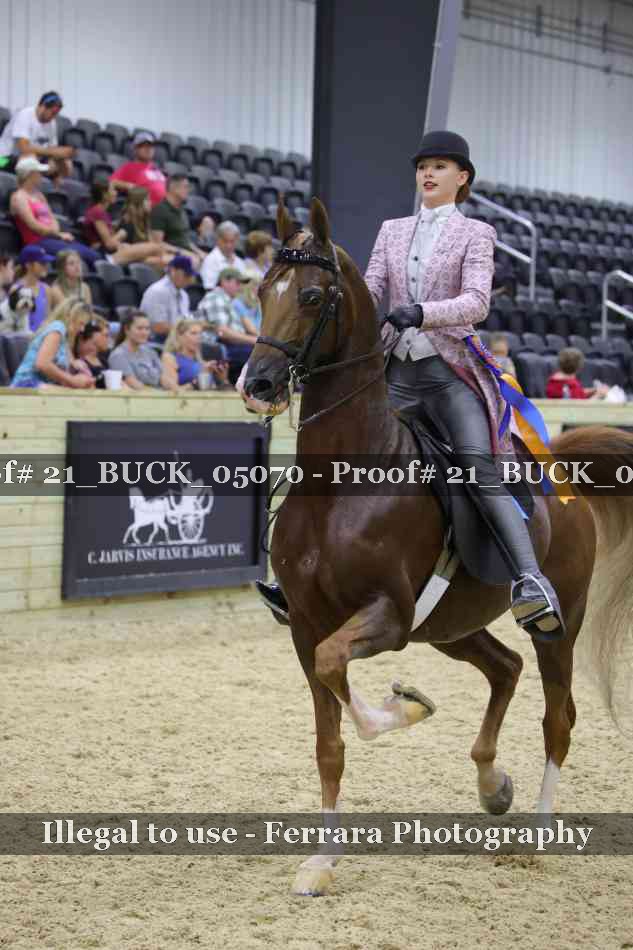 Proof Number 21_BUCK_05070