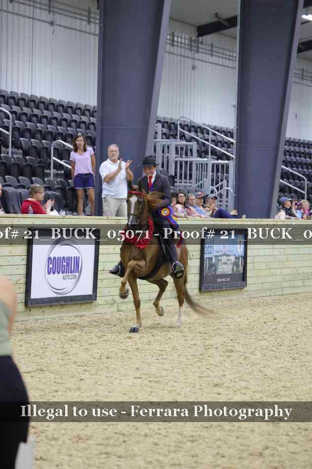 Proof Number 21_BUCK_05071