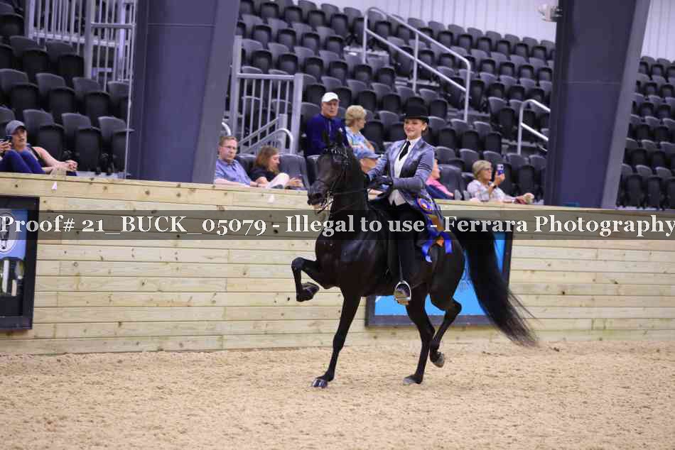 Proof Number 21_BUCK_05079