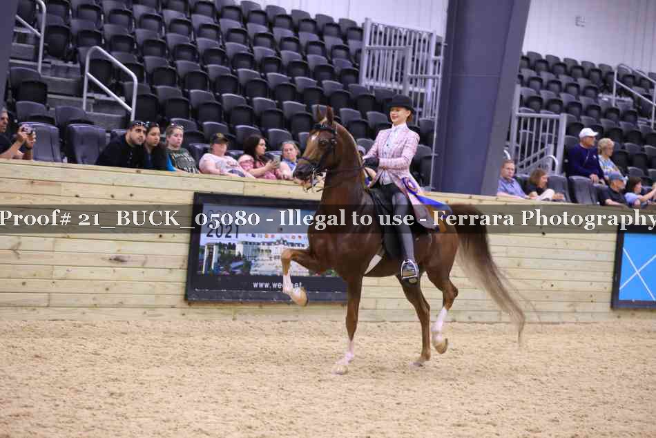 Proof Number 21_BUCK_05080