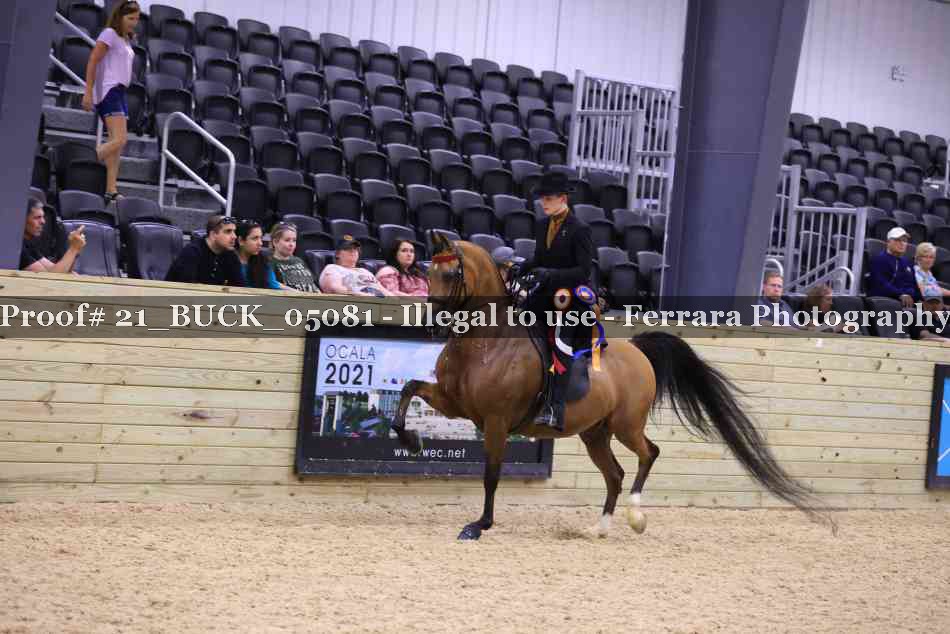 Proof Number 21_BUCK_05081