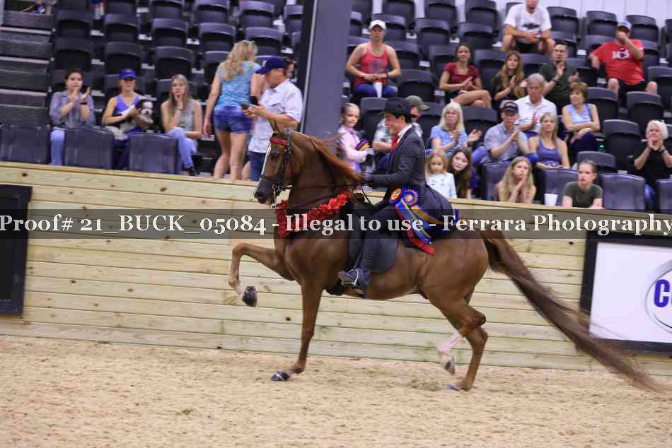 Proof Number 21_BUCK_05084