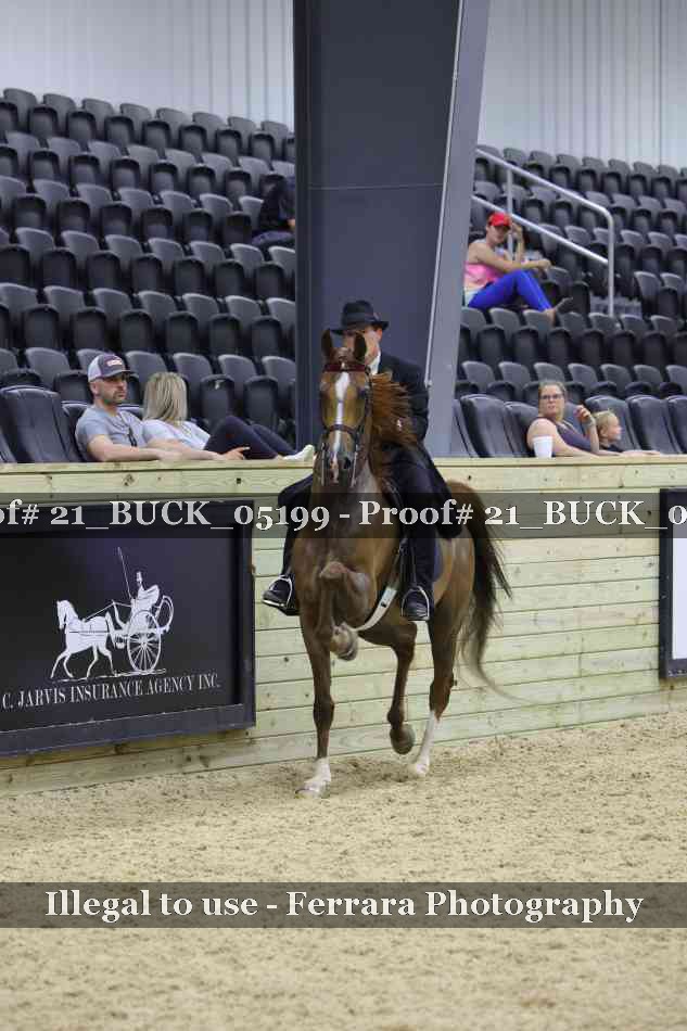 Proof Number 21_BUCK_05199