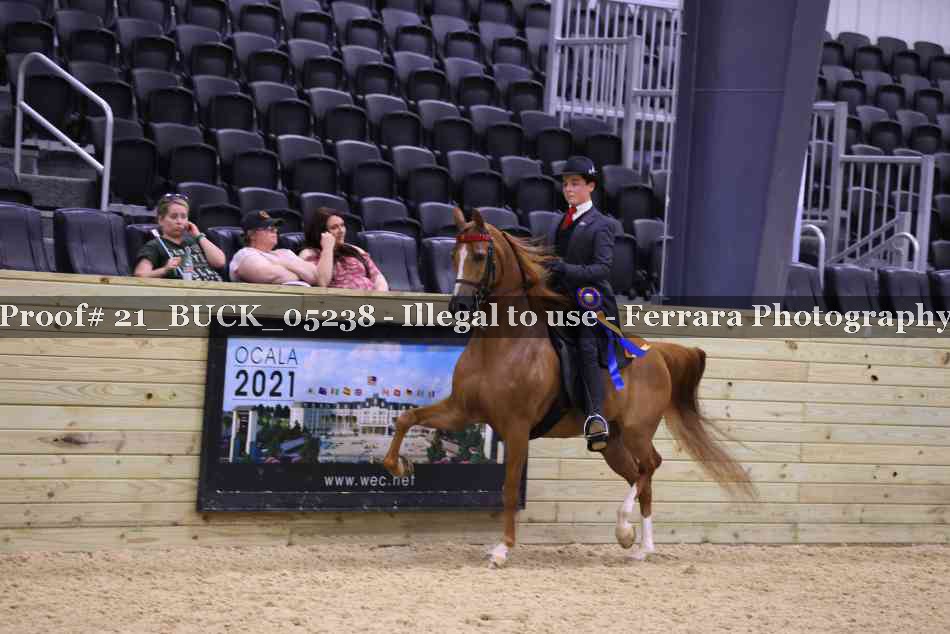 Proof Number 21_BUCK_05238