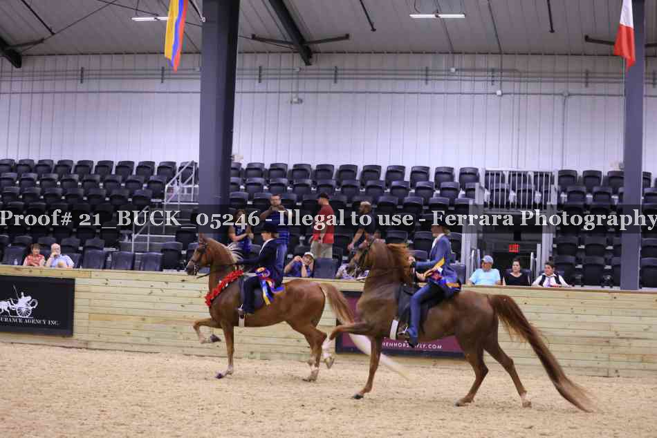 Proof Number 21_BUCK_05246